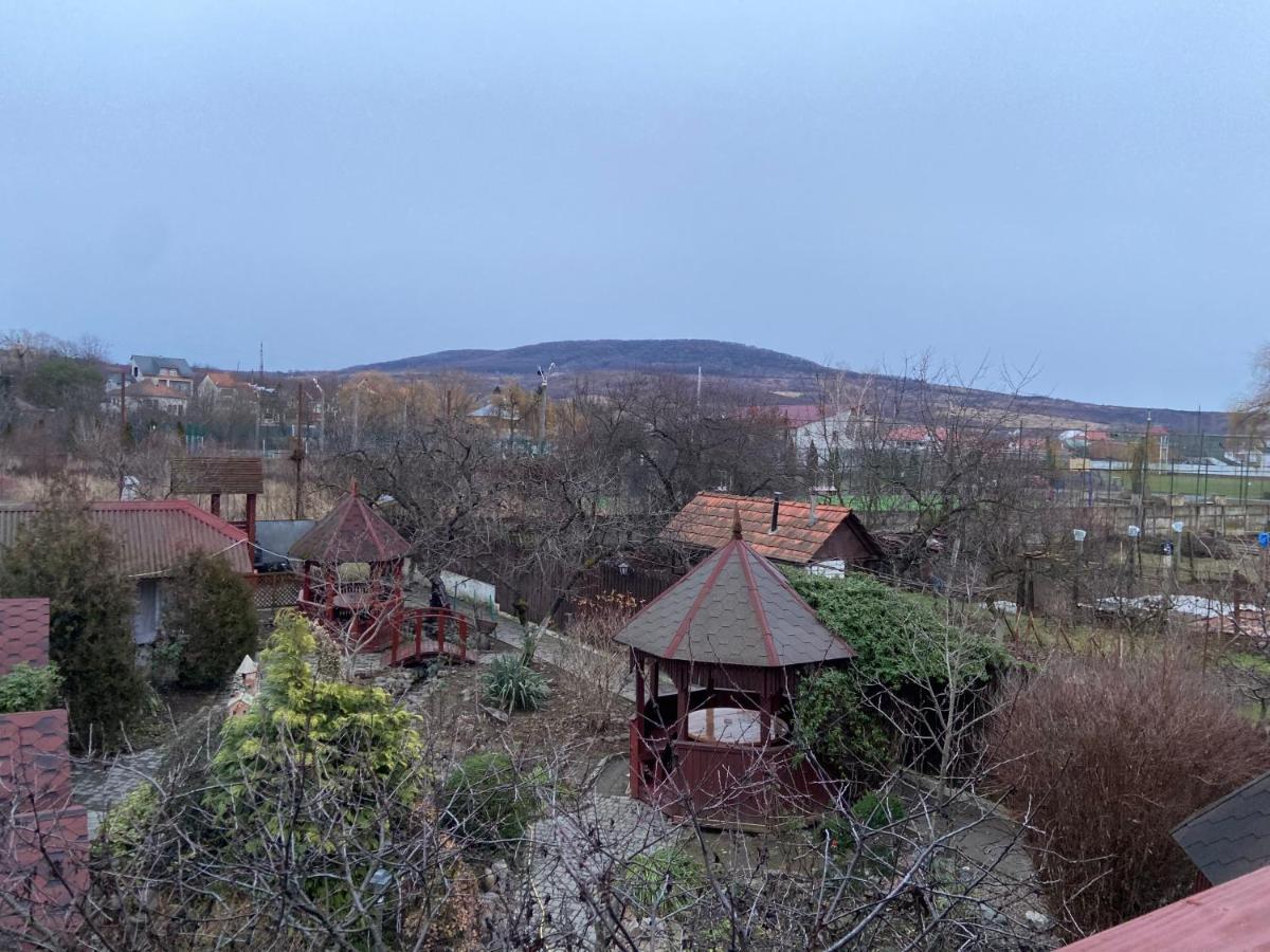 Fkoka Berehove (Transcarpathia) Exterior foto