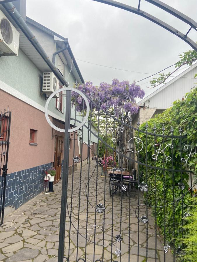 Fkoka Berehove (Transcarpathia) Exterior foto