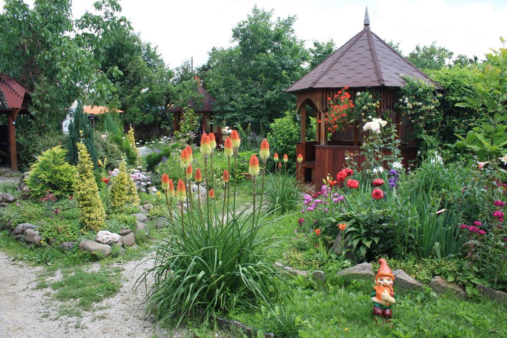 Fkoka Berehove (Transcarpathia) Exterior foto