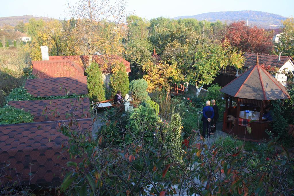 Fkoka Berehove (Transcarpathia) Exterior foto