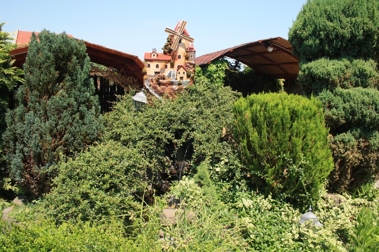Fkoka Berehove (Transcarpathia) Exterior foto