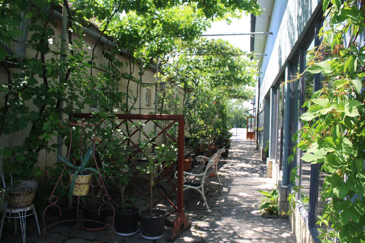 Fkoka Berehove (Transcarpathia) Exterior foto